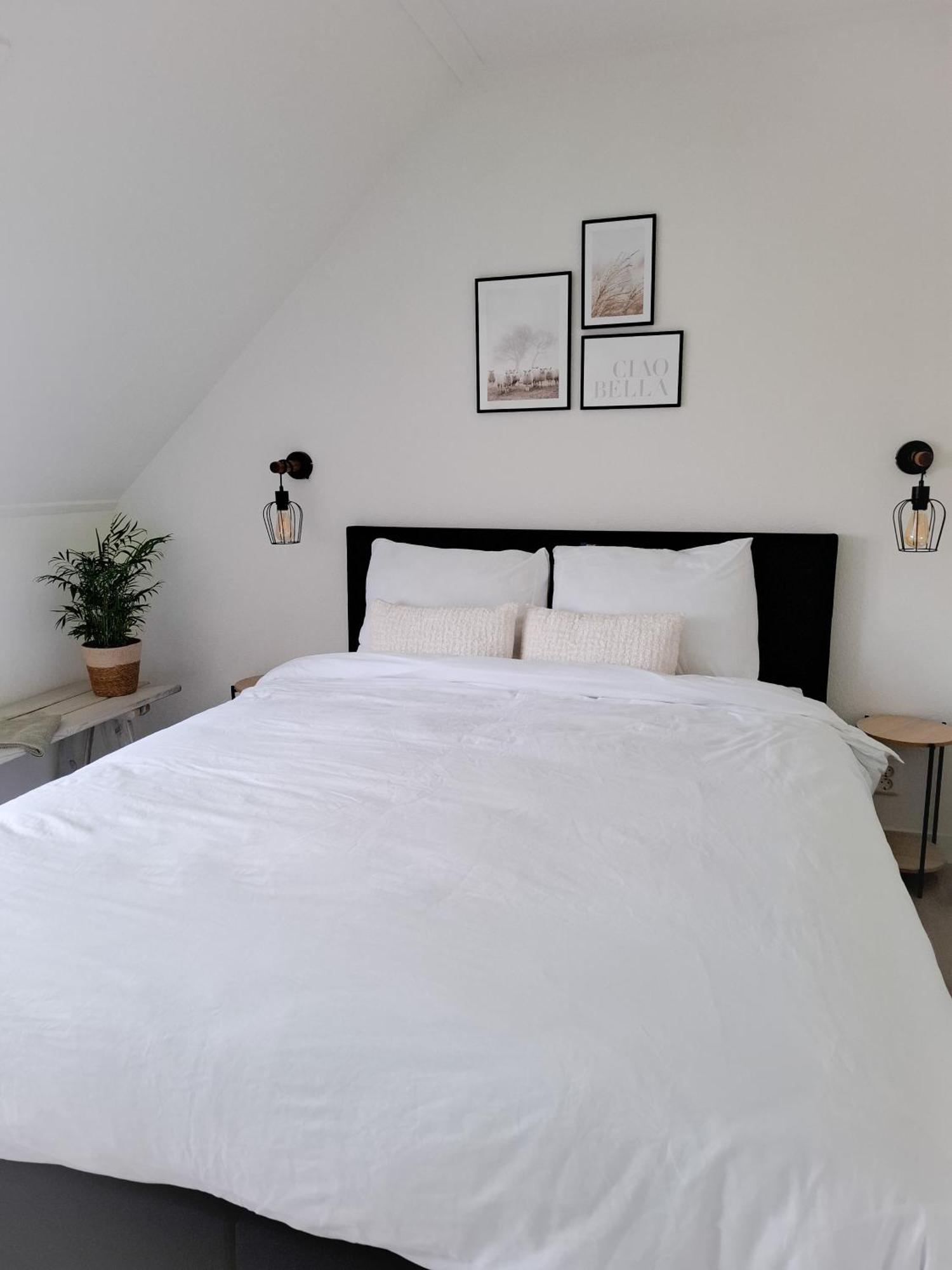 Bed and Breakfast De Bokkeleane Kolderwolde Zewnętrze zdjęcie